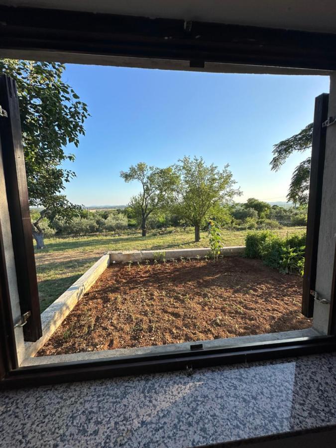 Relax And Unwind: Family-Friendly House Near Zadar In Zagrad 빌라 외부 사진